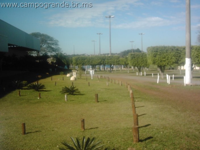 w.pantanal.br.ms-01.jpg