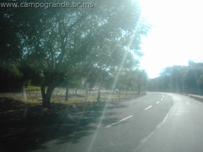 w.pantanal.br.ms-07.jpg