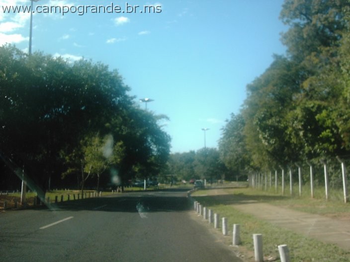 w.pantanal.br.ms-10.jpg