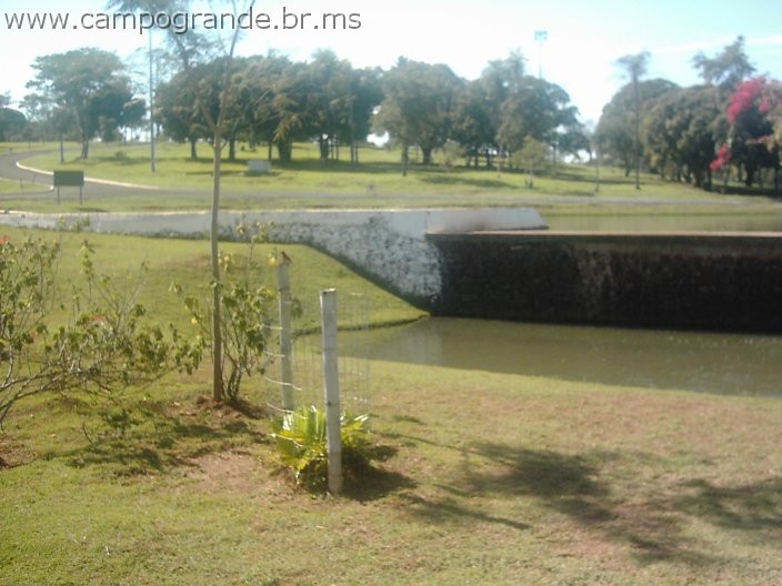 w.pantanal.br.ms-107.jpg