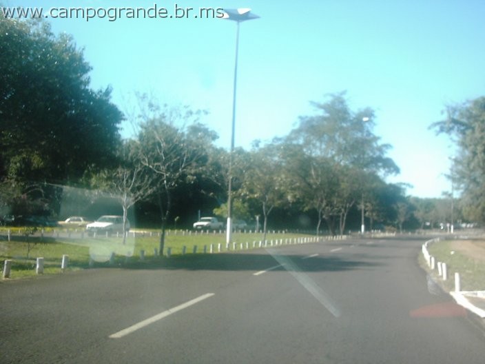 w.pantanal.br.ms-11.jpg