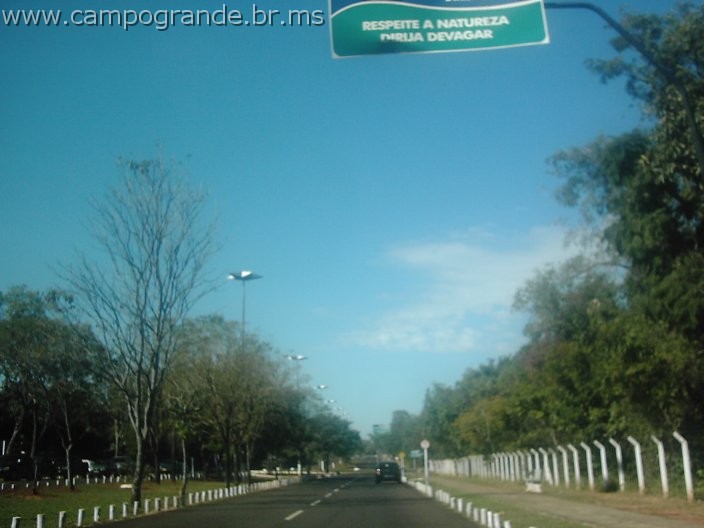 w.pantanal.br.ms-12.jpg