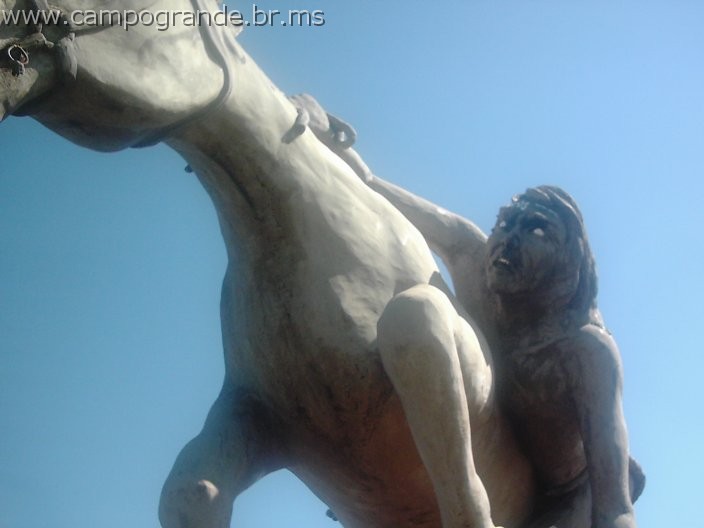 w.pantanal.br.ms-124.jpg