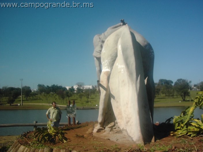 w.pantanal.br.ms-127.jpg