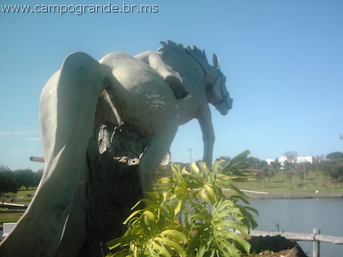 w.pantanal.br.ms-128.jpg
