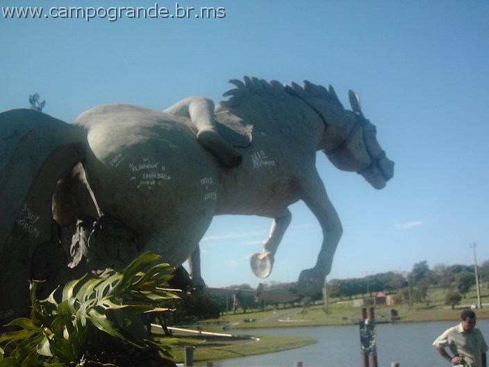 w.pantanal.br.ms-129.jpg