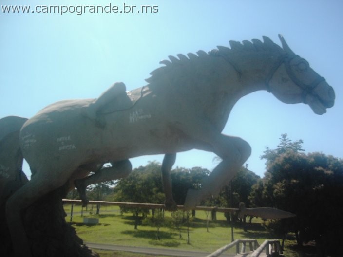 w.pantanal.br.ms-131.jpg