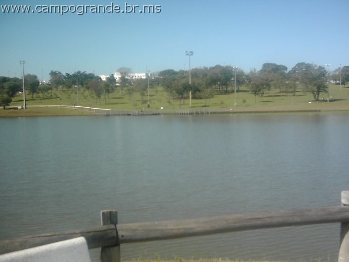 w.pantanal.br.ms-135.jpg