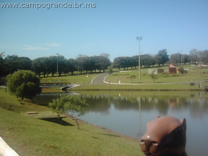 w.pantanal.br.ms-141.jpg