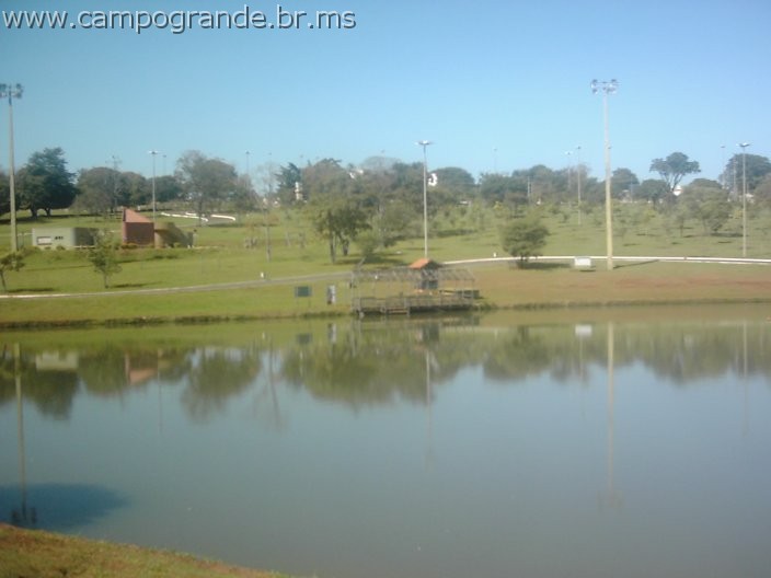 w.pantanal.br.ms-143.jpg