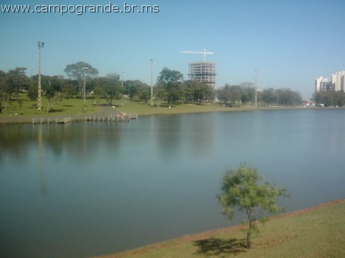 w.pantanal.br.ms-144.jpg