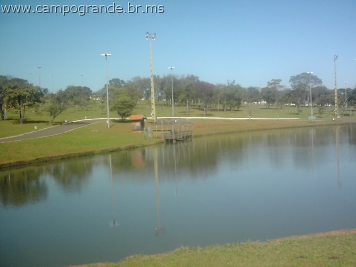 w.pantanal.br.ms-146.jpg