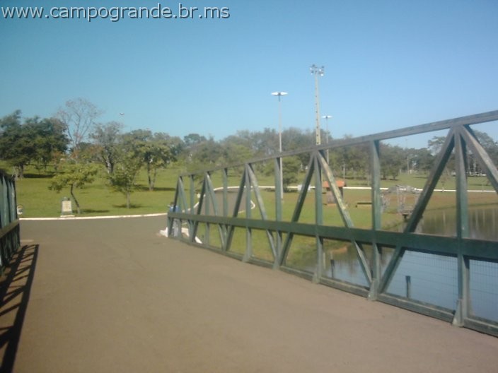w.pantanal.br.ms-148.jpg