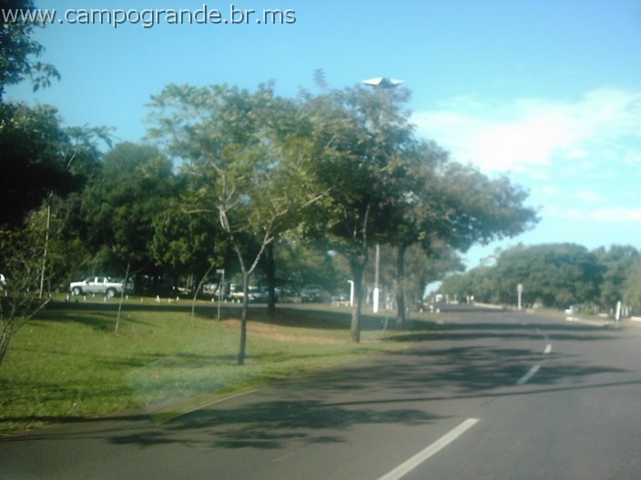 w.pantanal.br.ms-15.jpg