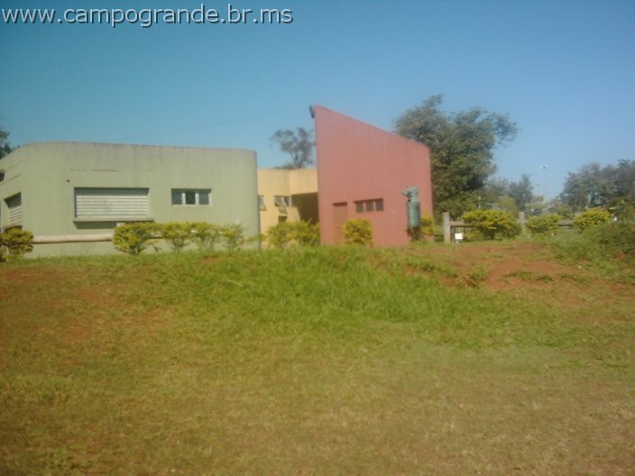 w.pantanal.br.ms-151.jpg