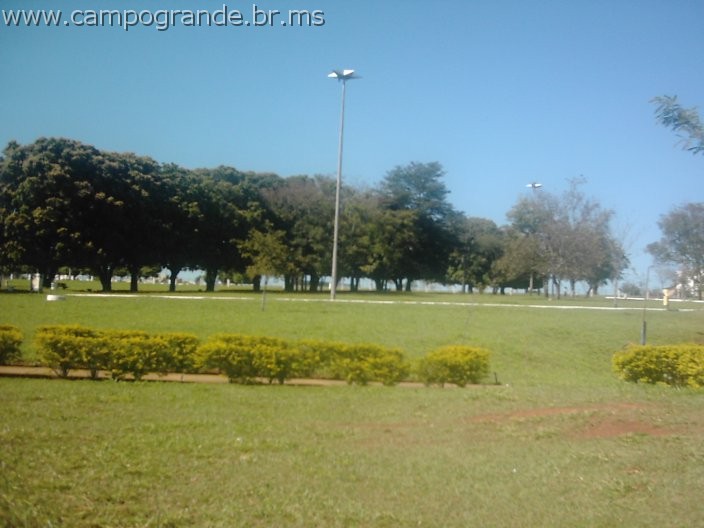 w.pantanal.br.ms-152.jpg