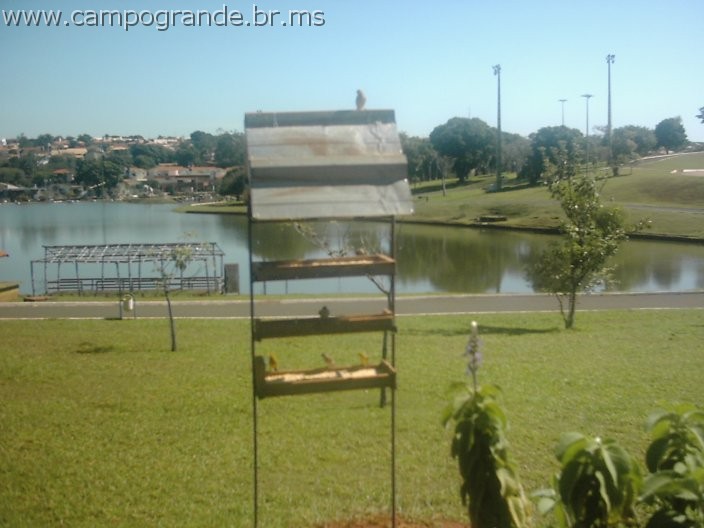 w.pantanal.br.ms-153.jpg