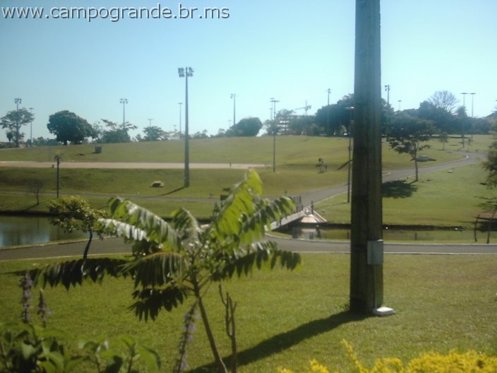 w.pantanal.br.ms-155.jpg
