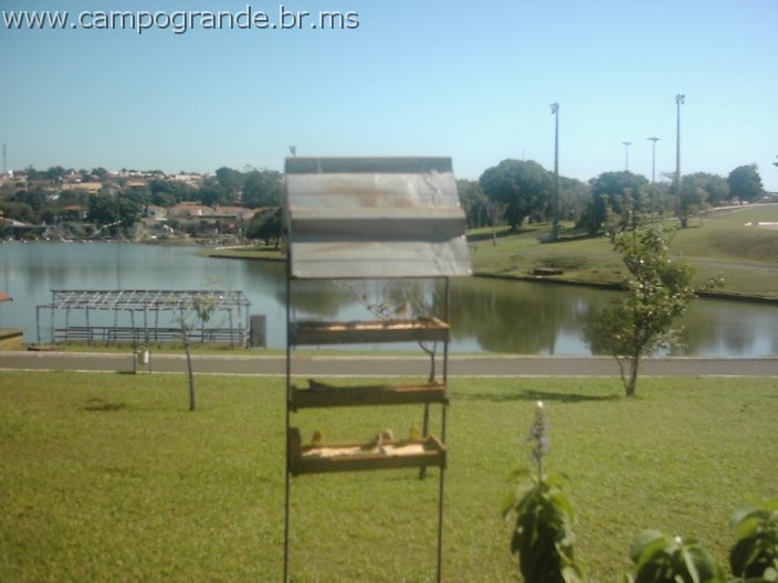 w.pantanal.br.ms-156.jpg