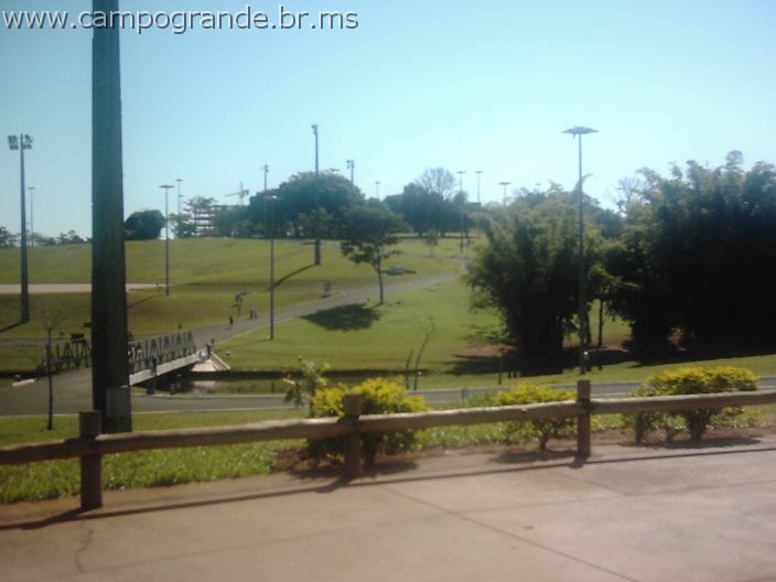 w.pantanal.br.ms-158.jpg
