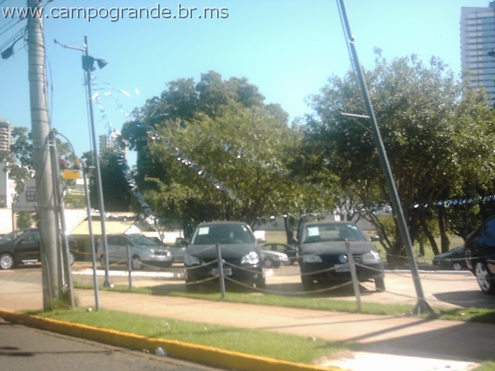 w.pantanal.br.ms-167.jpg