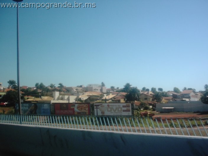 w.pantanal.br.ms-171.jpg
