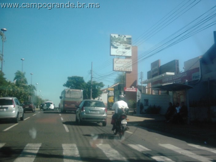 w.pantanal.br.ms-176.jpg