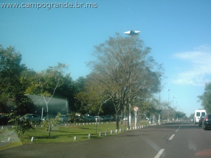 w.pantanal.br.ms-18.jpg