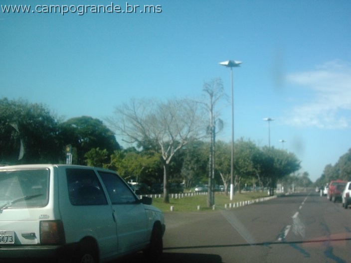 w.pantanal.br.ms-19.jpg
