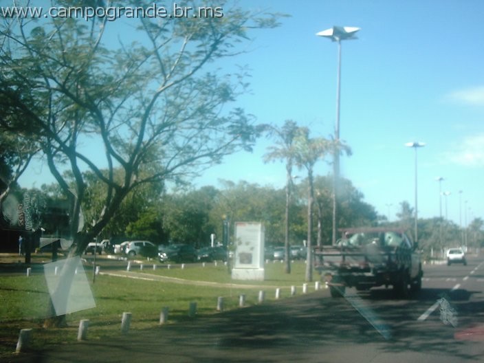 w.pantanal.br.ms-20.jpg