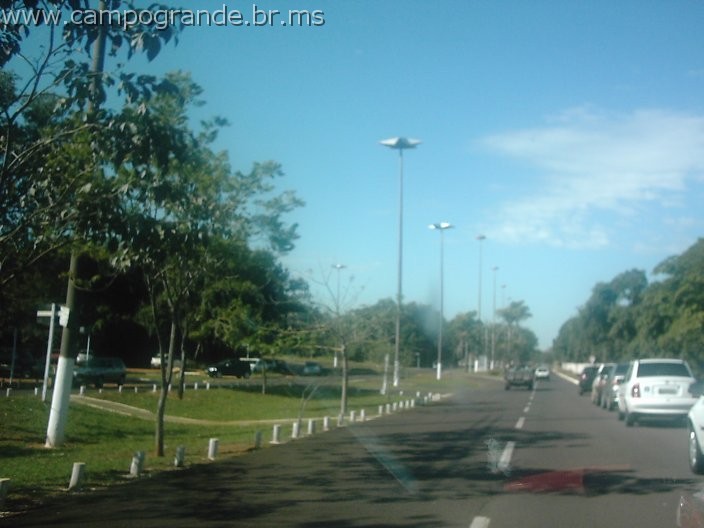 w.pantanal.br.ms-21.jpg