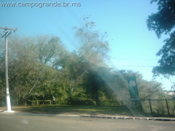w.pantanal.br.ms-27.jpg