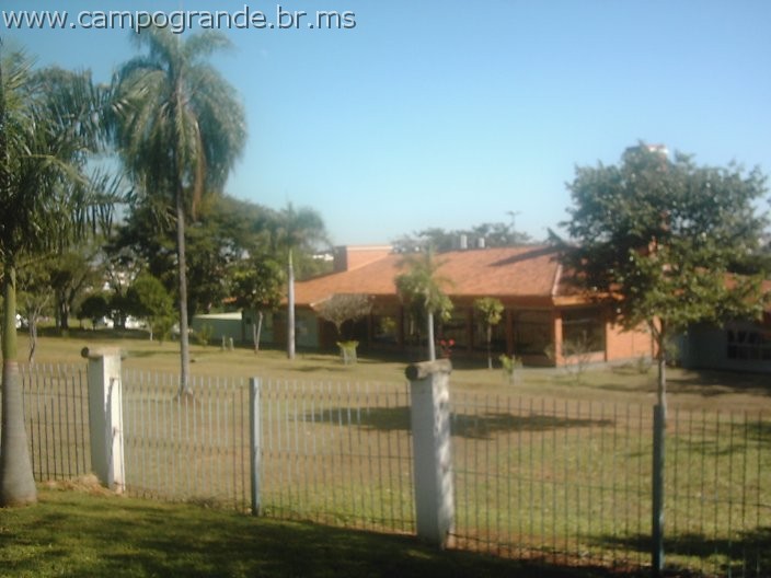 w.pantanal.br.ms-35.jpg