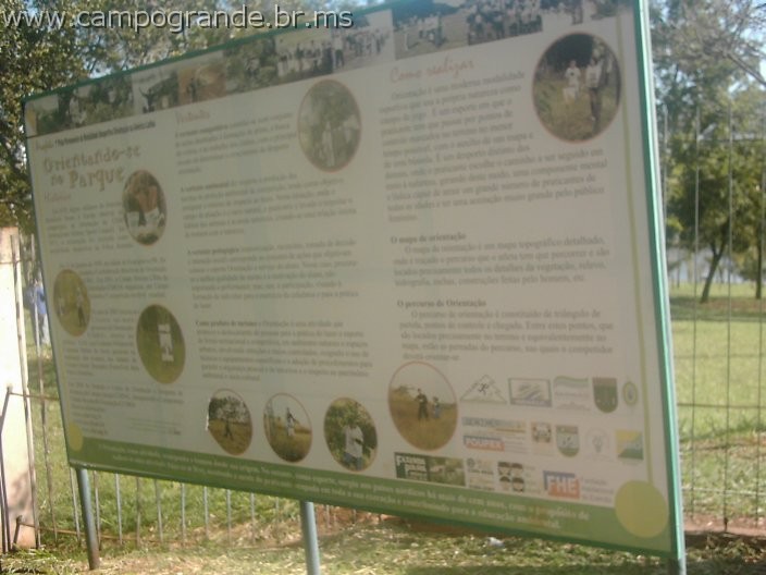 w.pantanal.br.ms-42.jpg