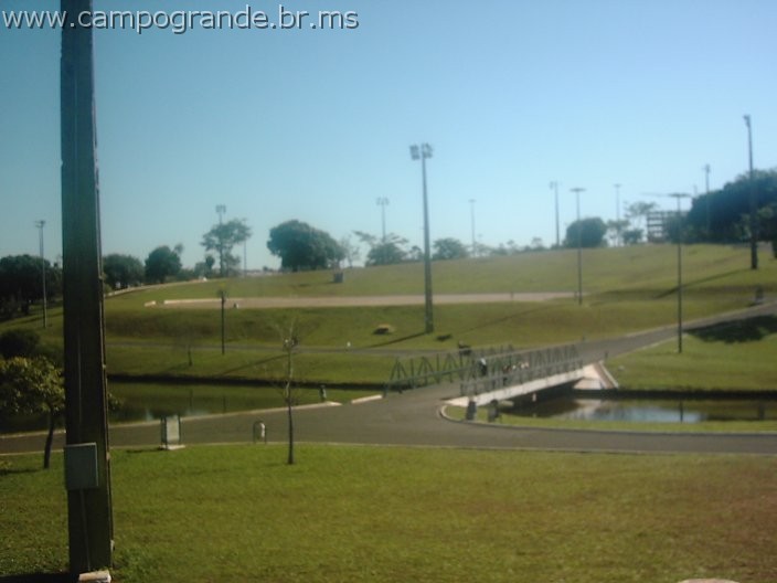 w.pantanal.br.ms-53.jpg
