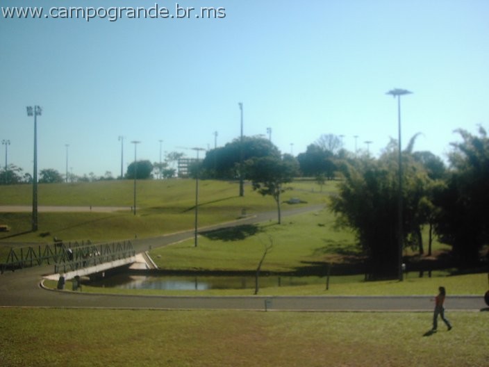 w.pantanal.br.ms-54.jpg
