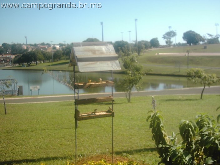 w.pantanal.br.ms-64.jpg