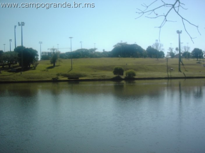 w.pantanal.br.ms-69.jpg