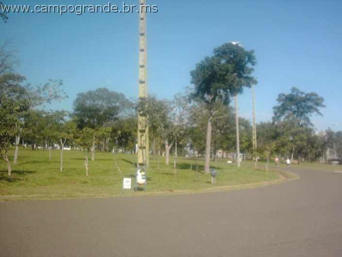 w.pantanal.br.ms-72.jpg