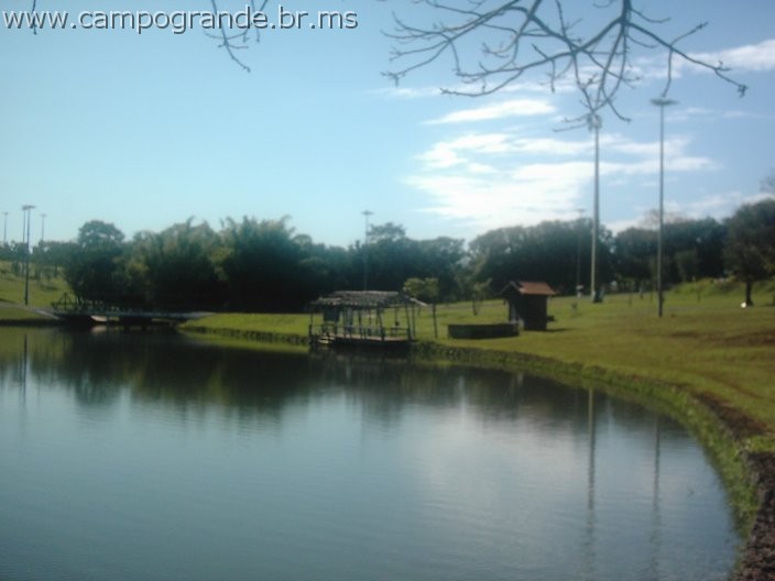 w.pantanal.br.ms-73.jpg