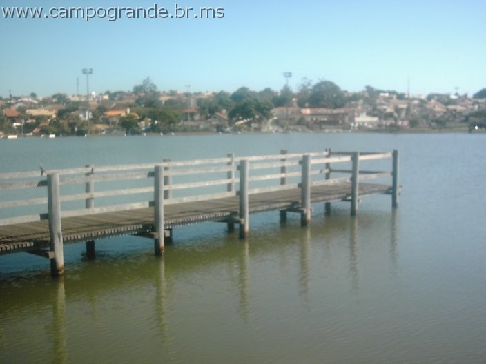 w.pantanal.br.ms-76.jpg