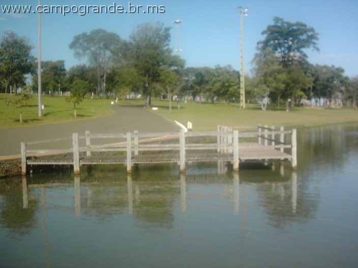 w.pantanal.br.ms-80.jpg