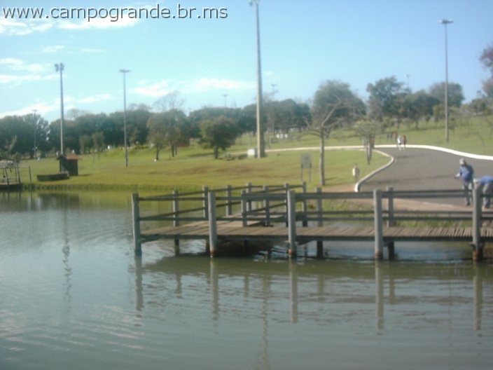 w.pantanal.br.ms-81.jpg