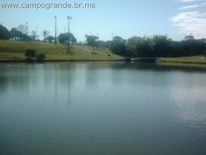 w.pantanal.br.ms-82.jpg