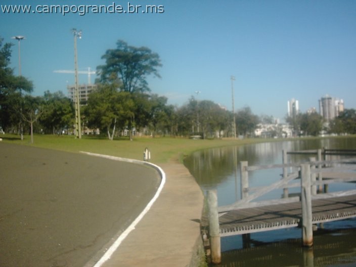 w.pantanal.br.ms-83.jpg