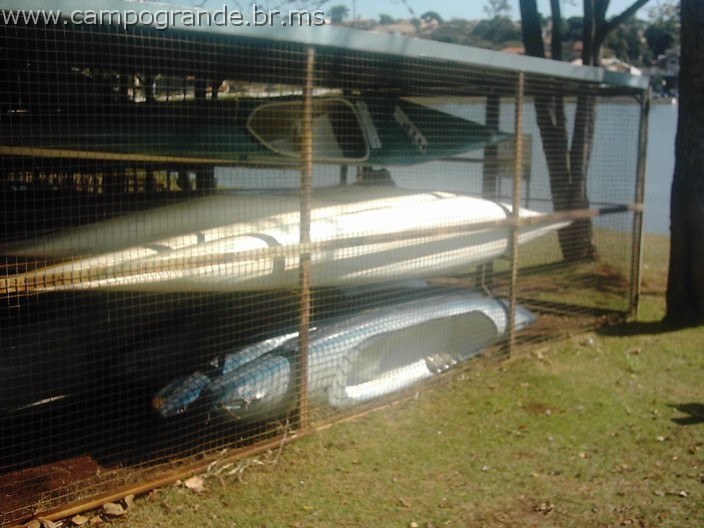 w.pantanal.br.ms-87.jpg