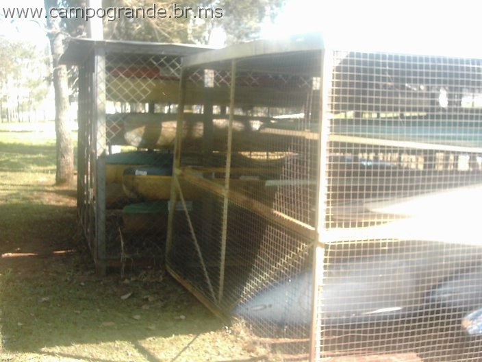 w.pantanal.br.ms-88.jpg