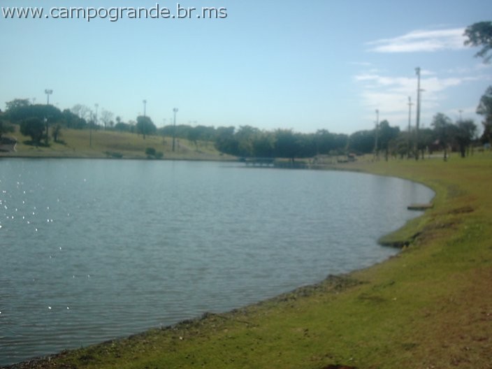 w.pantanal.br.ms-90.jpg