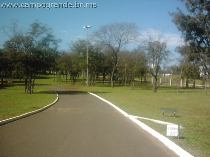 w.pantanal.br.ms-95.jpg