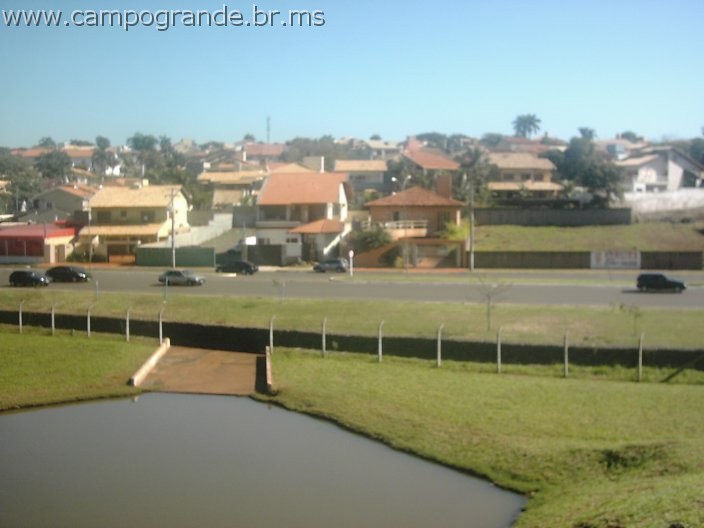 w.pantanal.br.ms-97.jpg